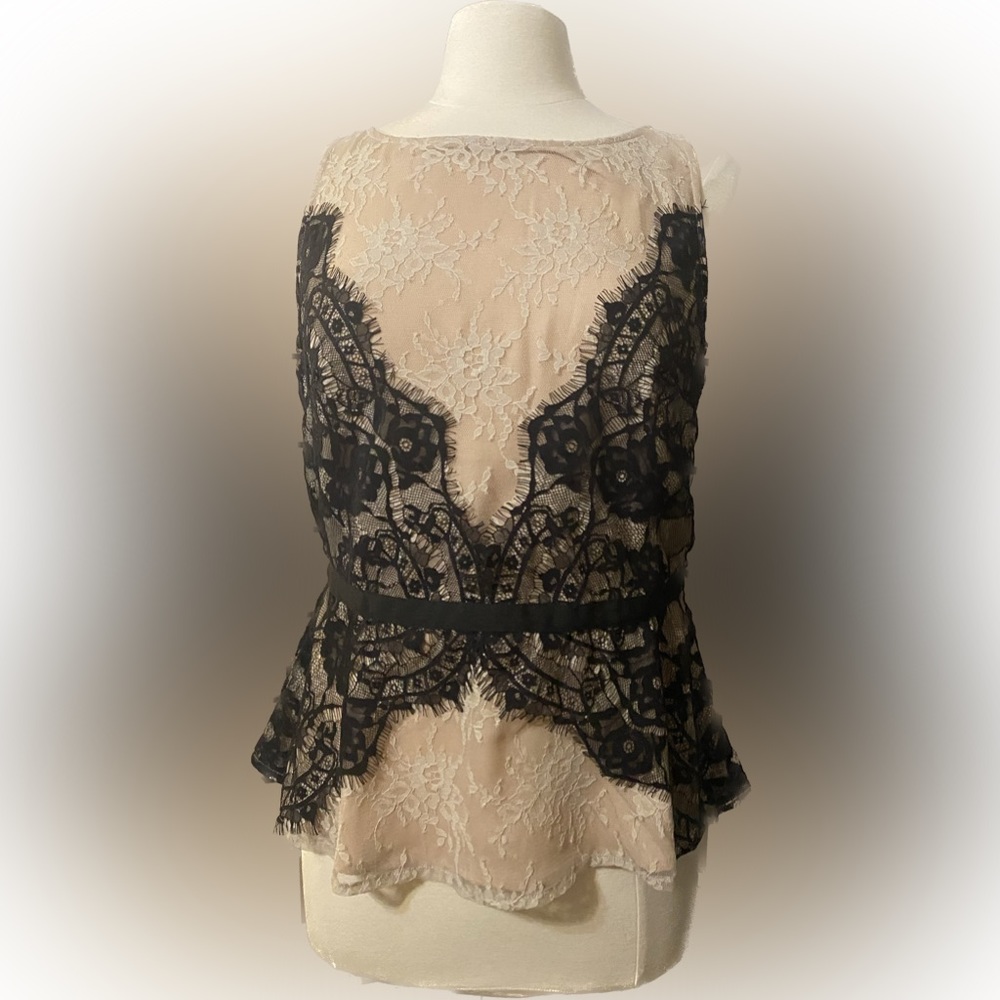 BEAUTIFUL Lace 2 tone Sleeveless Loft Top. Size 8 New with Tag.